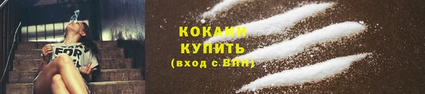 соль ск Няндома