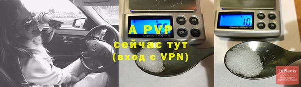 соль ск Няндома