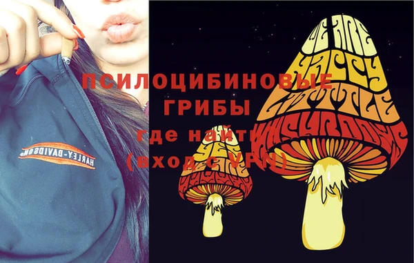 мяу мяу мука Нязепетровск