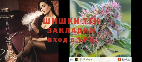 соль ск Няндома