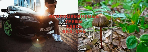 мяу мяу мука Нязепетровск