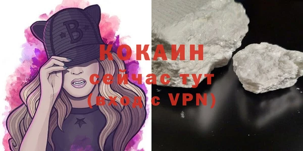 соль ск Няндома