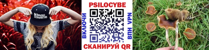 Галлюциногенные грибы Psilocybe  Рассказово 