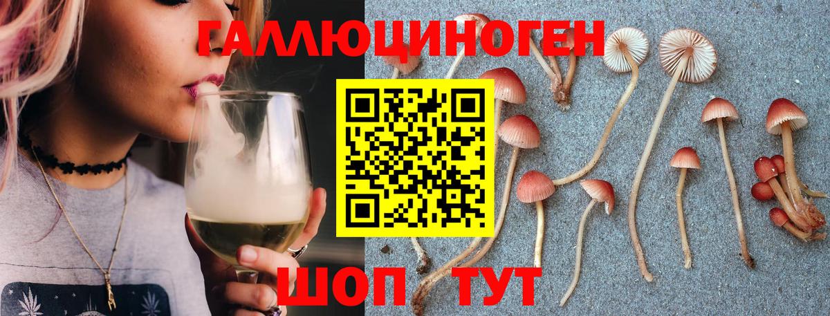Псилоцибиновые грибы Psilocybine cubensis  Вход с VPN  Рассказово 