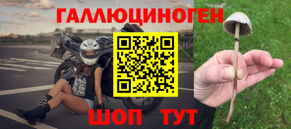 Псилоцибиновые грибы MAGIC MUSHROOMS  Вход с VPN  Рассказово 
